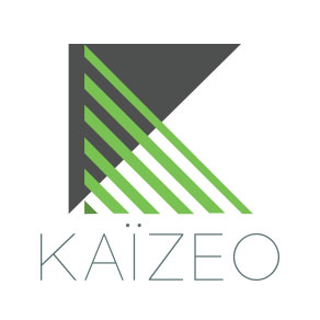 logo-kaizeo-portfolio-Interactive Natives