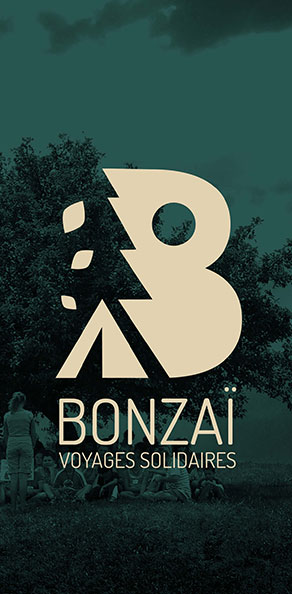 logo-Bonzai-portfolio-Interactive Natives